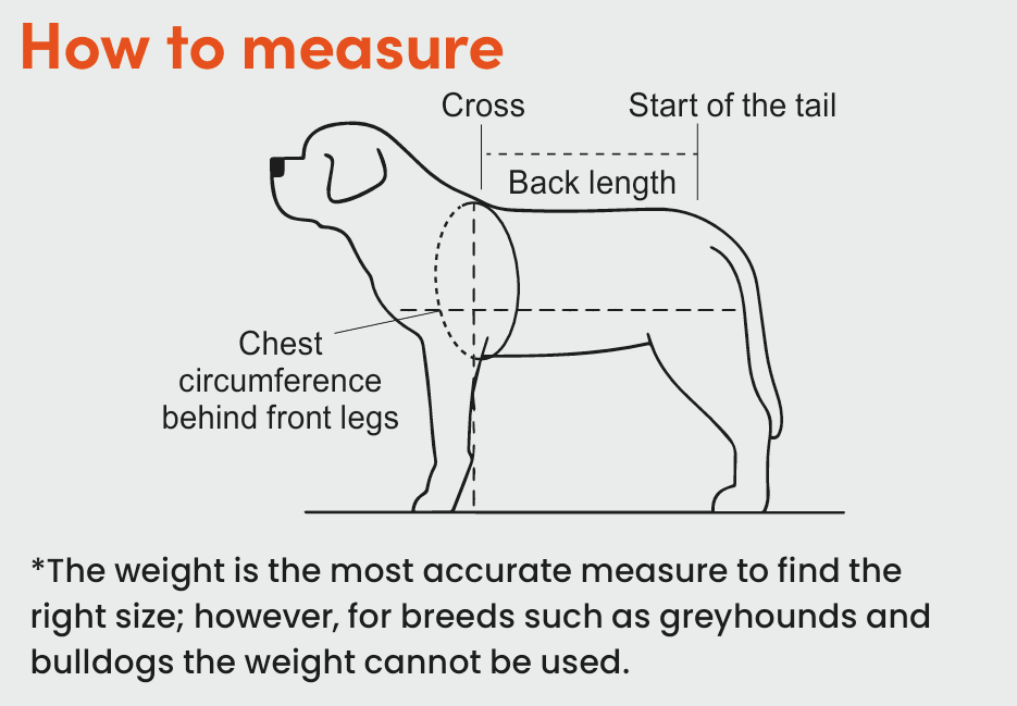 Dog measuring diagram showing cross, back length, chest circumference behind front legs, and guidance that weight is usually the most accurate measure.