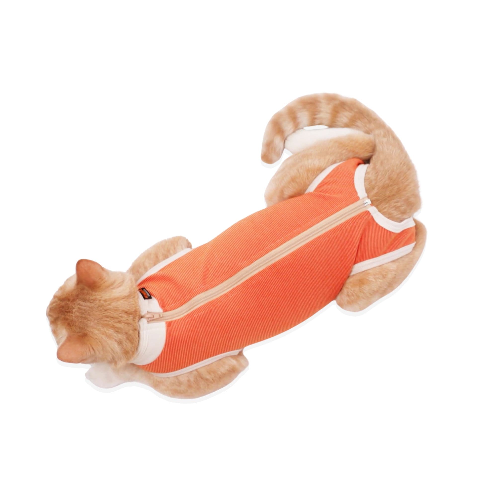 Top-down view of a cat showing how the CopperBody zipper runs along the back