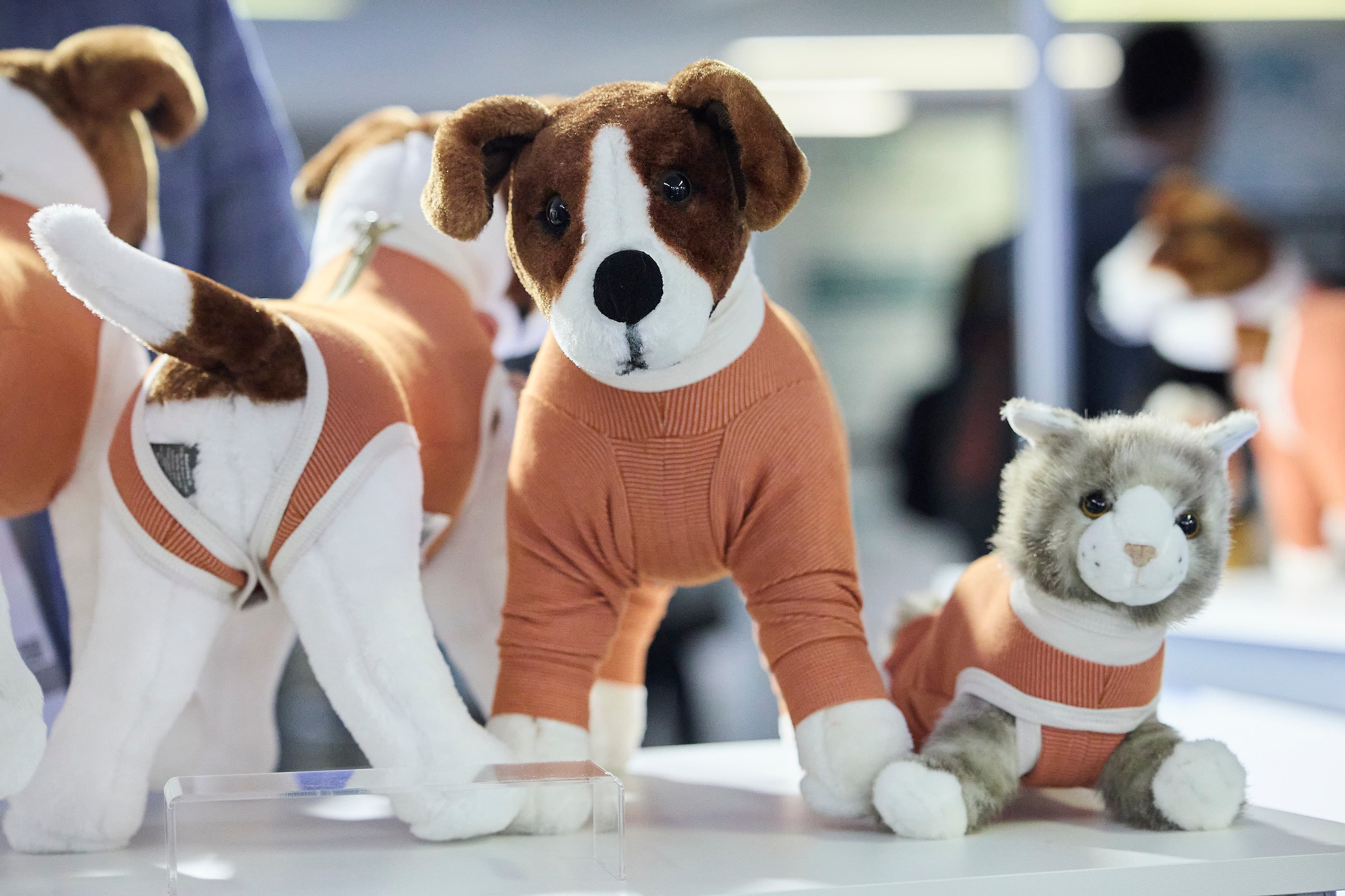 CopperBody product range close-up