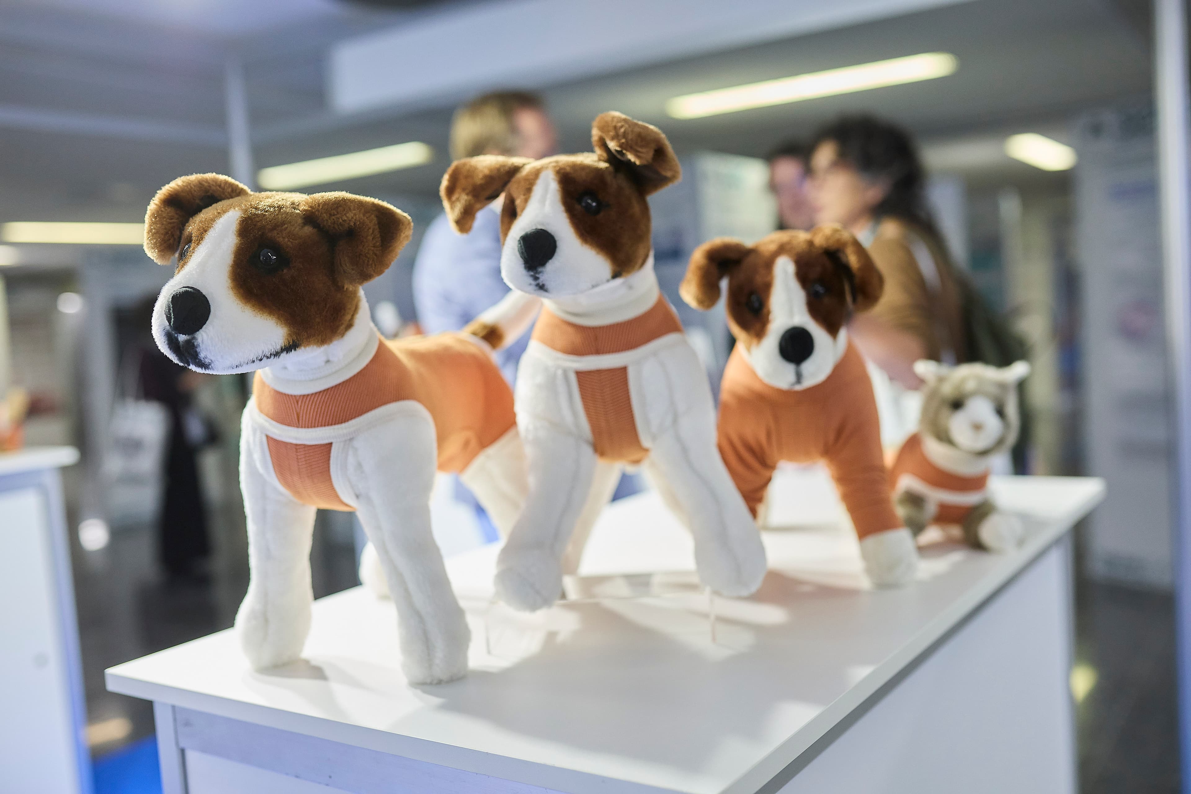 CopperBody products displayed at a veterinary trade show