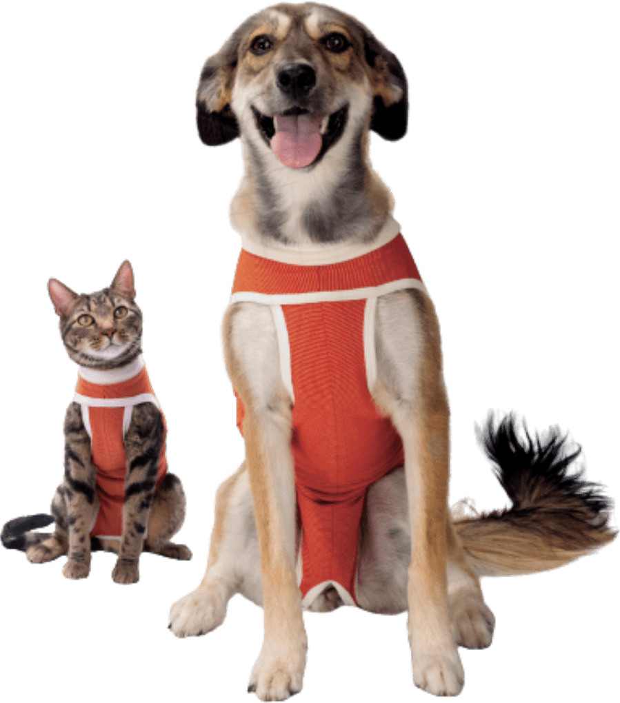 Dog and cat side by side wearing CopperBody recovery suits