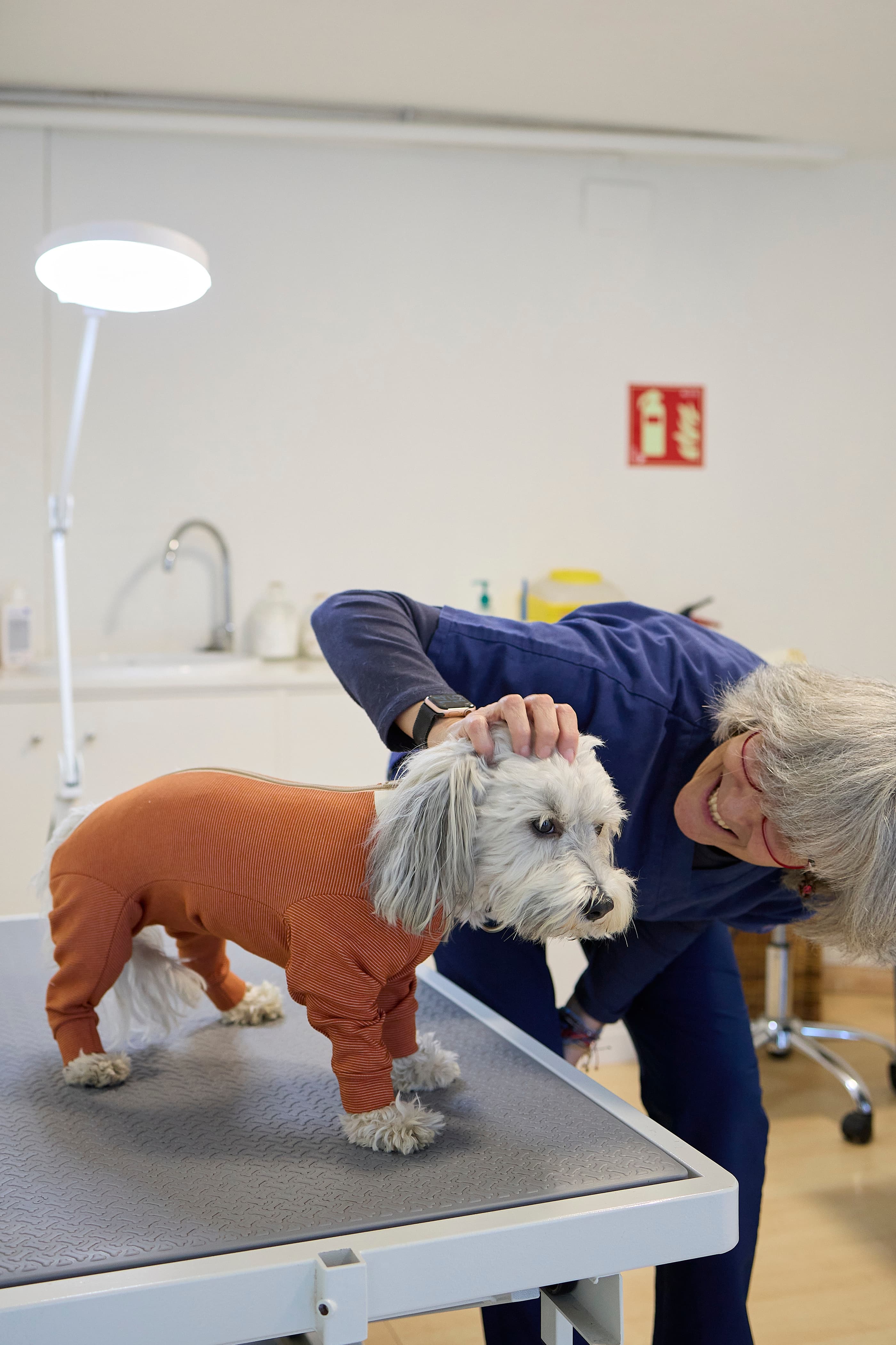 Veterinarian examining a dog wearing a CopperBody recovery suit