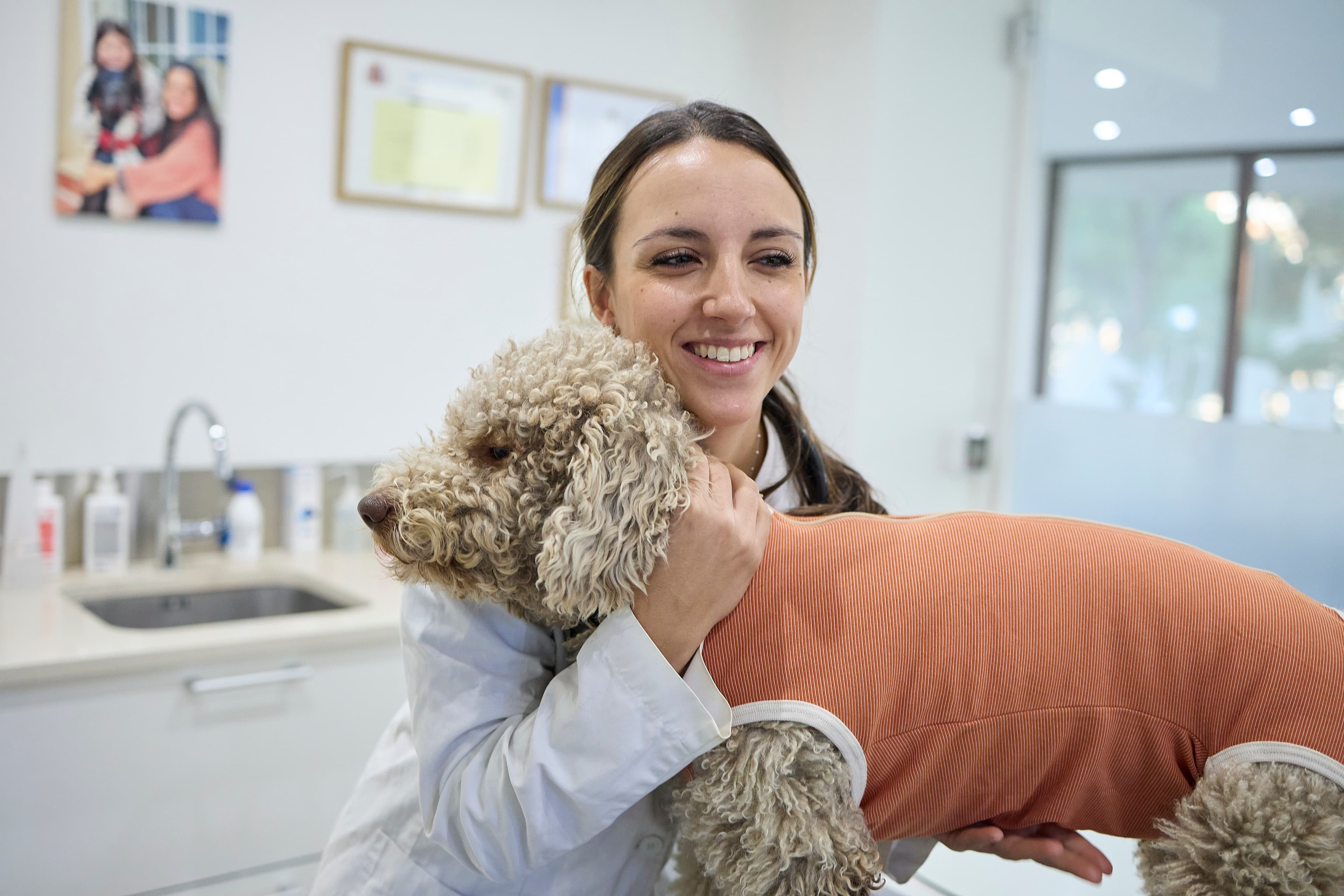 Veterinarian holding a dog wearing a CopperBody recovery suit