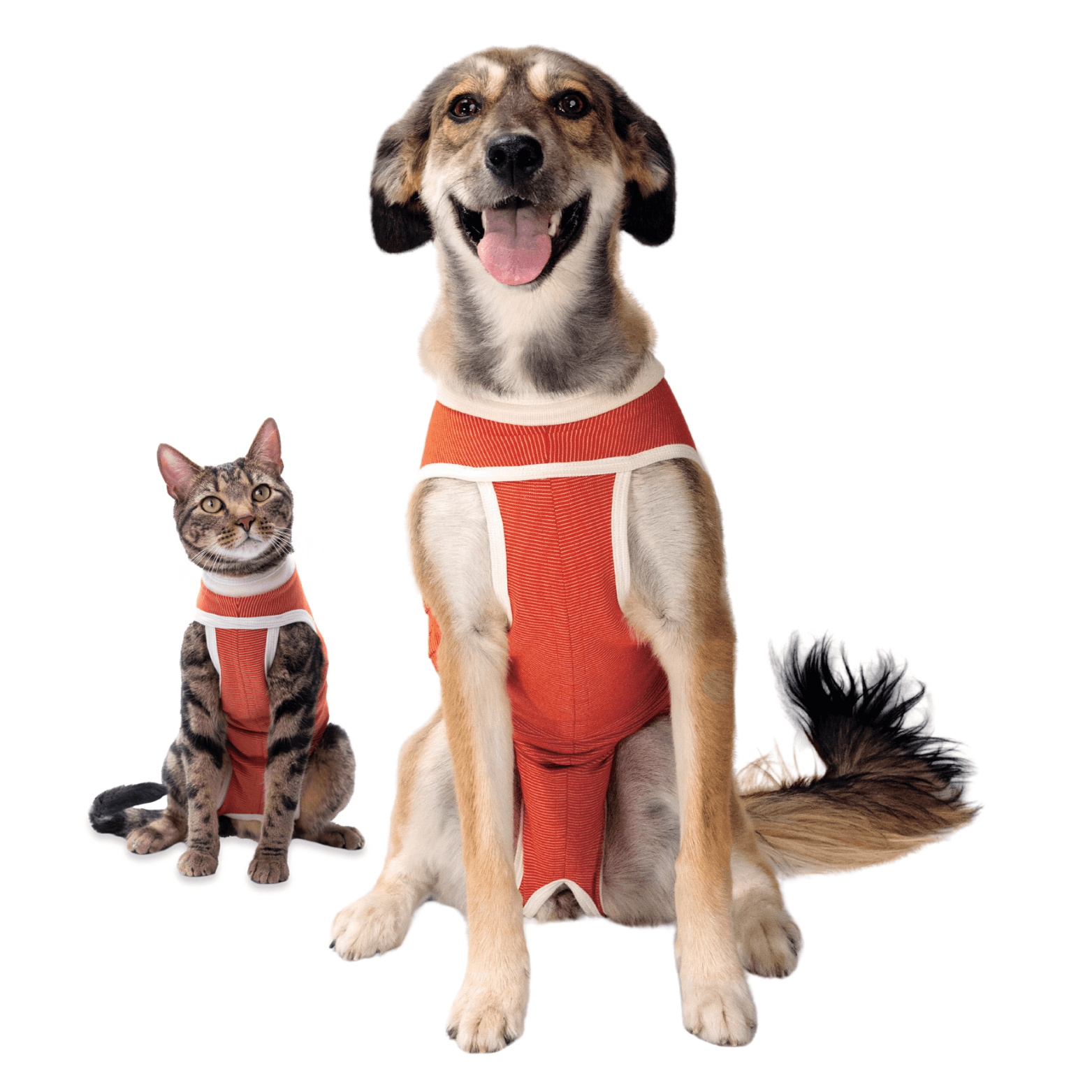 Classic Recovery Suit