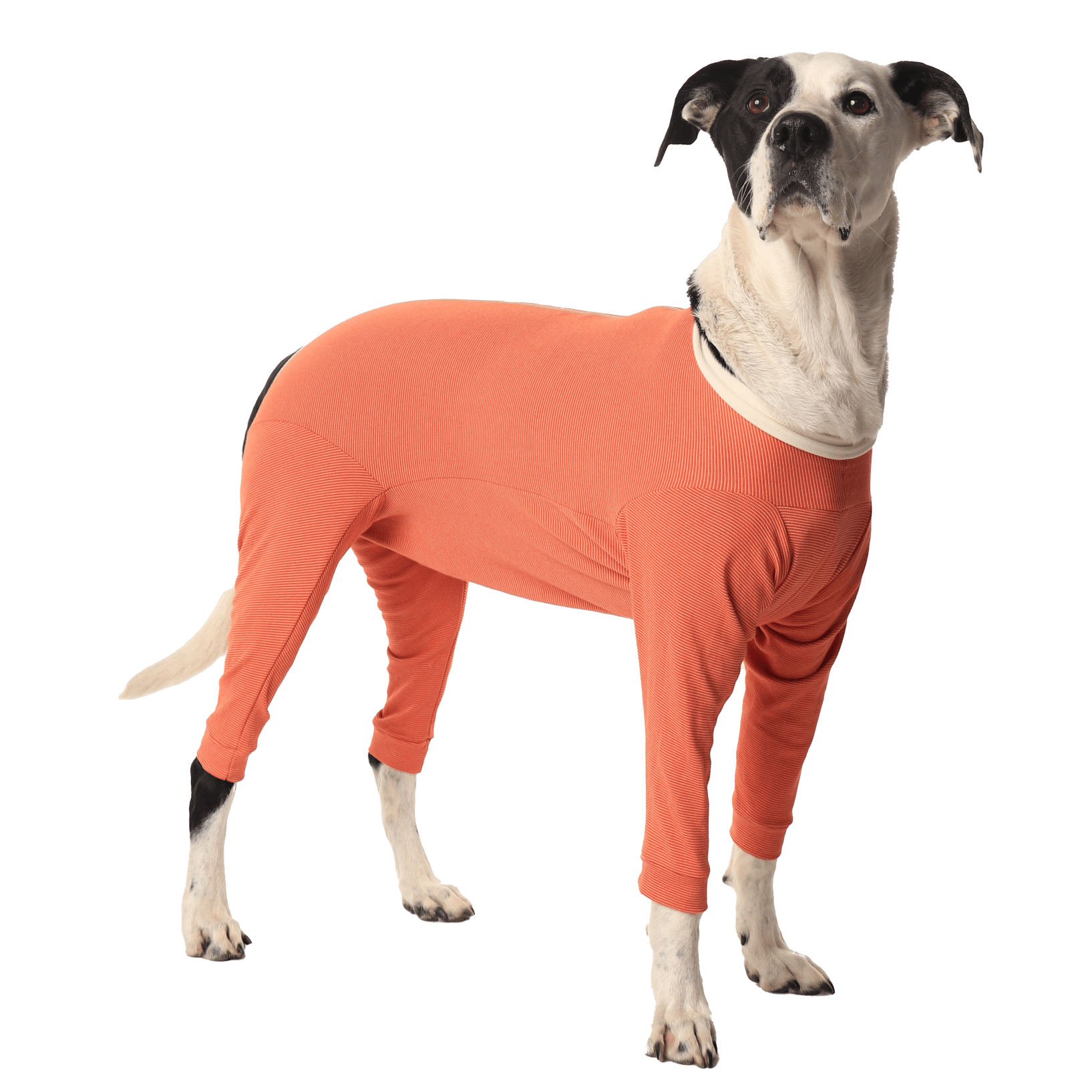 4-Legs Recovery Suit